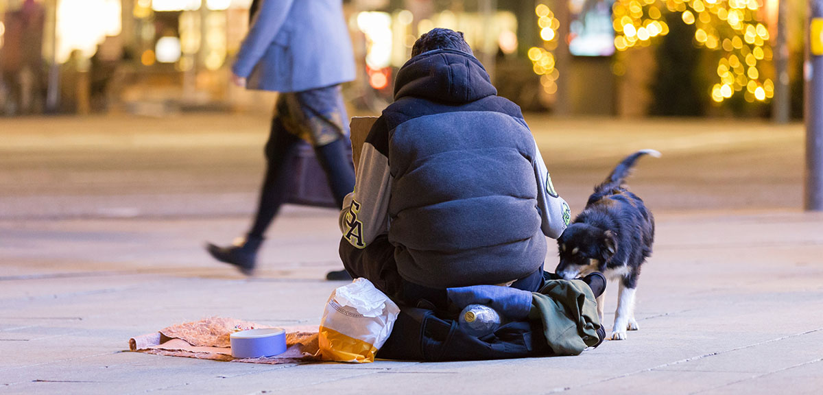 importancia en la prevención del sinhogarismo