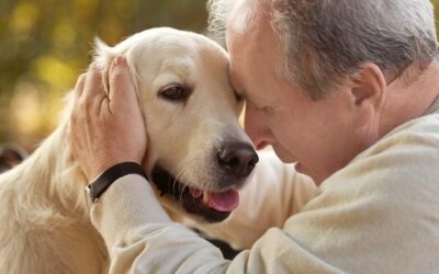 Personas en situación de calle y animales de compañía